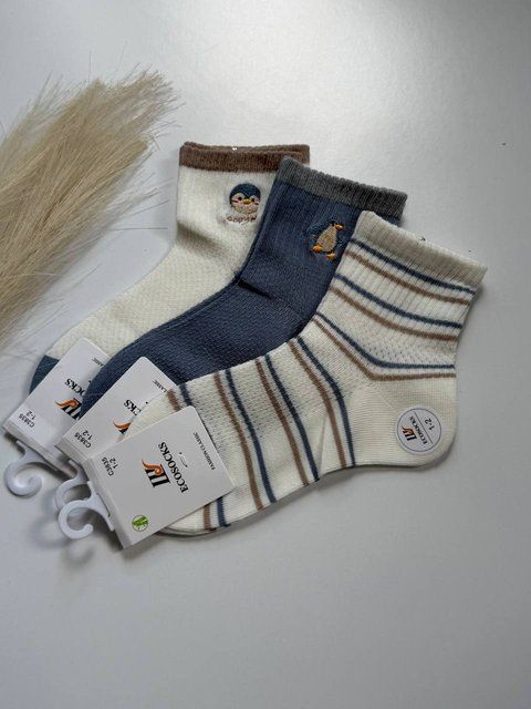 Дитячі шкарпетки в сітку, набір 12 пар C3835 фото